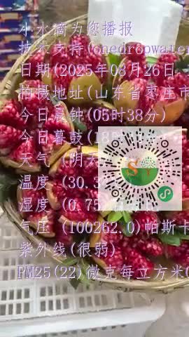 FpRvsxcx-XOcPeAaWNEj5Z4osRfJmp4