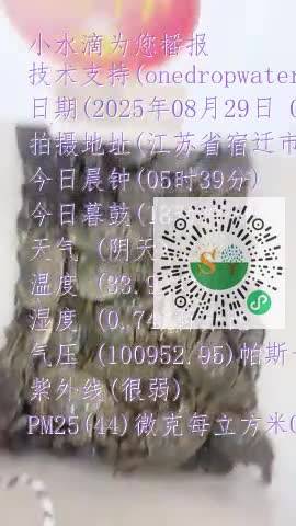 lkUAEfdME9s3whdZp9G5SUjNpZbemp4