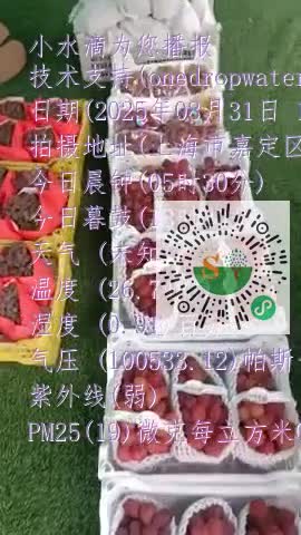 lnFfqvM0yvflox3bB1Ysp0TFbTpimp4