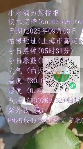 FnidLnLGzJrJBuhDxh49Ydx0oLVwmp4