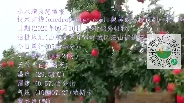 FvF3Xr6pT__ocP6dwSw5URmHxYppmp4