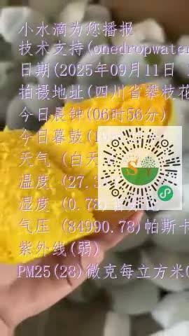 Fqp7NwqR7Ns-Lt-ozkZgr1Ub4TG5mp4