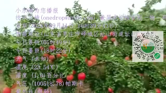 FmuLYeyvtzmEgc1WFY9jofb_Iq9Qmp4