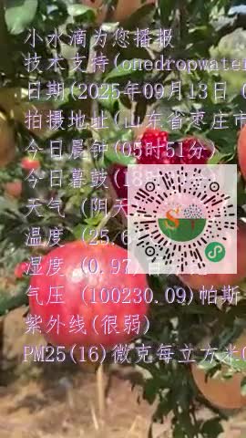 FgqTypqzbKCBiSQvLiqMpBKFIM6Jmp4