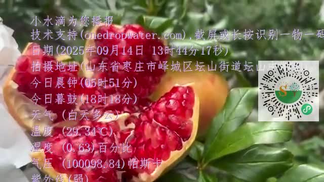 FgfNGHHH6dco4yD03tq6uo0HLfYgmp4