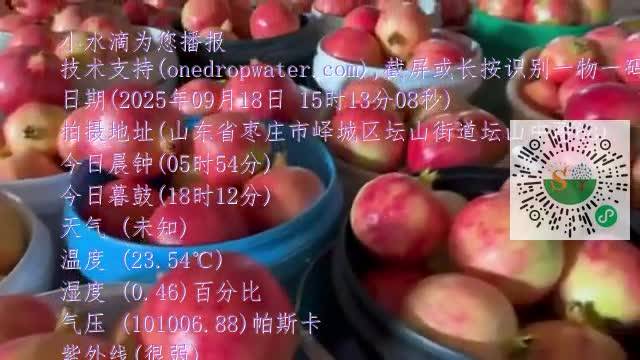 FspVxWg2R2JPbKNP9g4CrO-129UOmp4