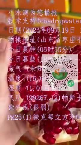 FhV5Z2LHmEorl7BbDiSBwv7Te7vcmp4