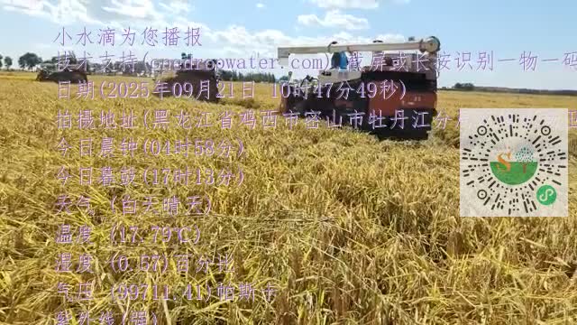 ltmddyqeNEj2kPvIyJBLE-oCzrX-mp4