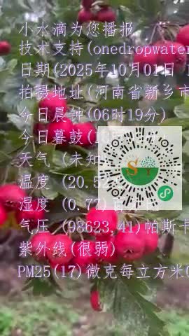 FlhVIj1GNCo5Icc58gnB3_zNab3Hmp4