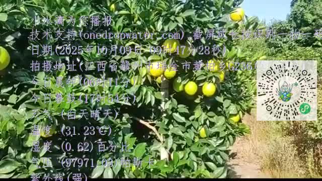 lj5ZhThuJMO5Z0IwN6xkAsd-XcDXmp4