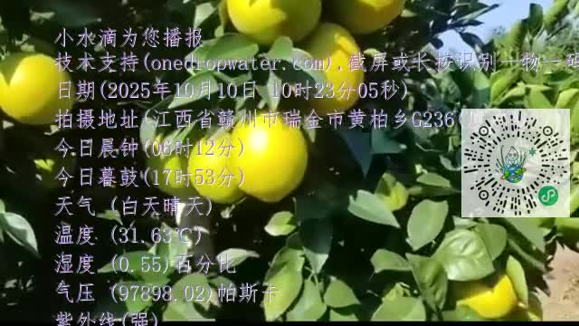 FveuZvmofpDIhf1NaTVqSwh546Bkmp4