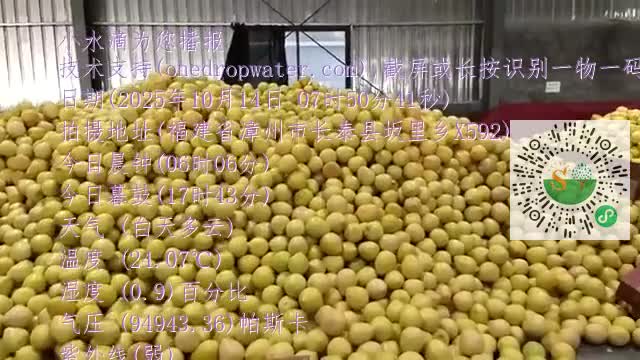 FpK4mHeVzgTiZh2j17nzZ6QZQQ9Amp4