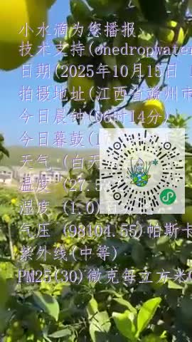 luuxRvgrjh3jCpW8DqSettZssHuXmp4