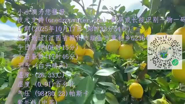 lnehKzVScRWphp_FxJLXu1IvA7HCmp4