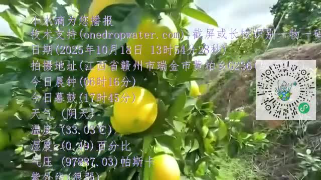 FrdHEAlFNwEGD4lnYUvdILDZV9dCmp4