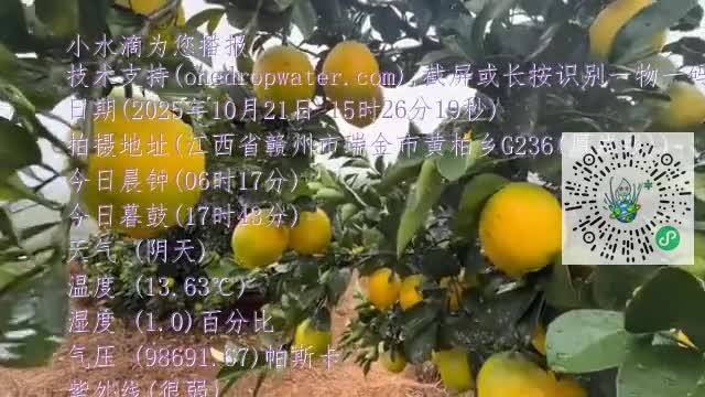 FhJ8tGNRzHzUwVV8mOgRgNoBcElvmp4