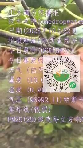 Fh5e9Xwjuk2npZ2Rskzrgqcp4naRmp4