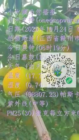 FiLON4G3lioHOm7zAM51XfQ-OmJrmp4