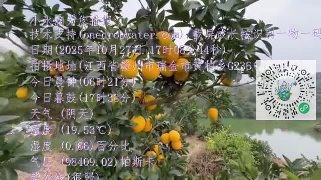 FulIXyv3Hiswm-Bk3o1Pb6JtFV3hmp4