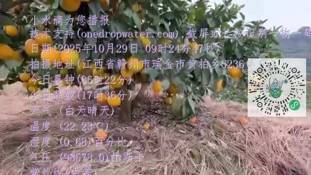 FrwHFX8XwHAYZ-Lad6EnFvfjsONump4