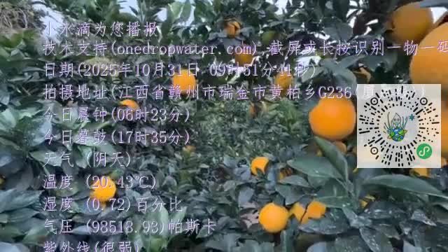 Fk5NXpGuKY_qoDUIt08L5QABA0rfmp4