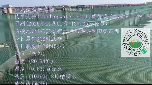 FjMSQqXr2fMj3dKEGqI0wKTmbmUamp4