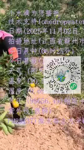 FmL6gdwH8wY7TtDmsov4MJTpUuYump4