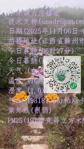 lgL9e_08LzD3h8QLyYb4CCt82RLVmp4