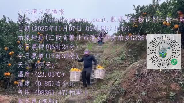 FtPr35sUFTYlseAlraoQrNBdcjNKmp4