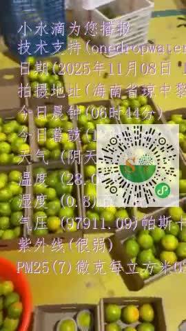 FrfKOezQB0YFlo1GM0cda_oi3t16mp4