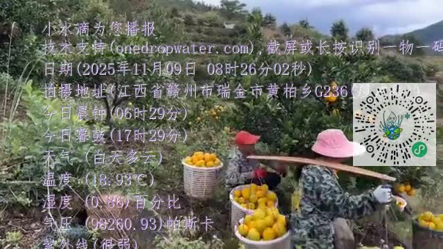 FoDgK264_HlTMDmARLc6jbxoyKuzmp4