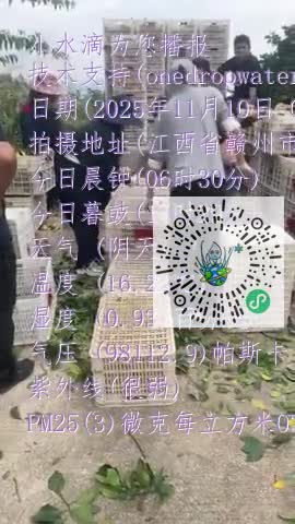 Fox_XDfGJSYgOkJoWAMFI4sFqOzVmp4