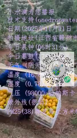 FnOGIbk6zq4erngNuJeztZVpjVfPmp4