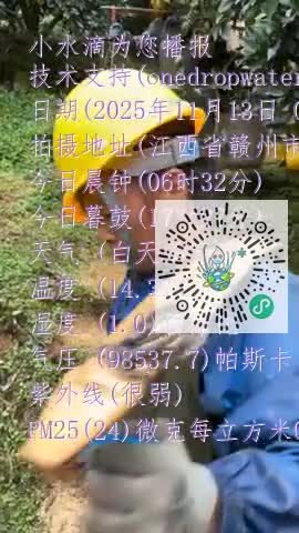 llfPetYTDeXXYvs0rnvscShewgVhmp4