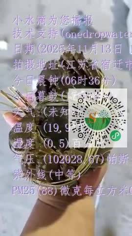 FpDzE4juD7TsmVqDGVED0XDhmtF_mp4