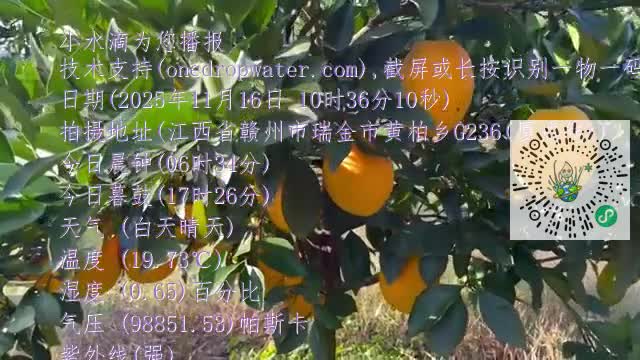 FnsAdsuZXueA8IF7ipwWo6c34FJemp4