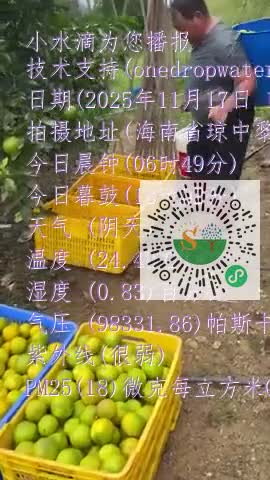 Fri_w15vsD2Jz7-CSZ68Aa8ZqDxXmp4