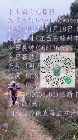 ljFEcLvu4DKrVW2XZ3d1kgnrAk4vmp4