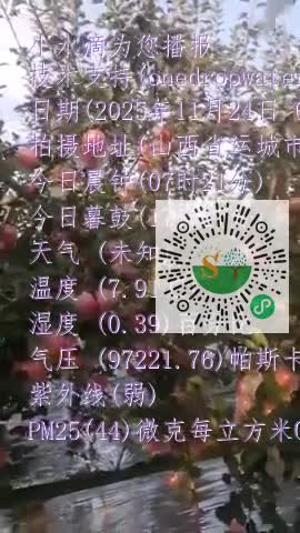 FvTuQTAGlDSIx9F6Lt2429IJXYL_mp4