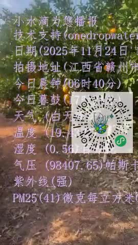 Fm4e0nsTgmoZpl9kujVoU5SaeDVump4