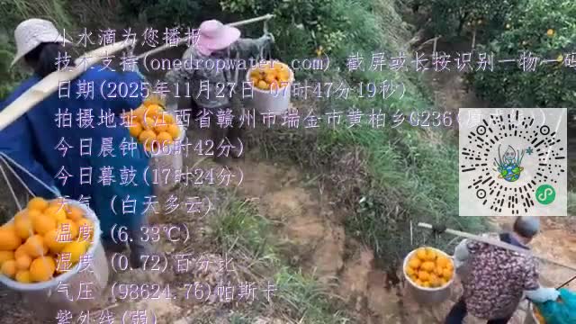 lsT9C1Vn5ws5wuJqeT5ItA5D1t_Pmp4