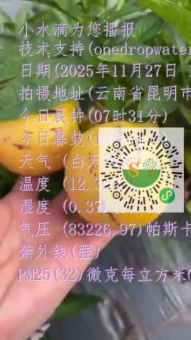 Fi2SuaLsI2vI87IcWSndBx17f9o4mp4