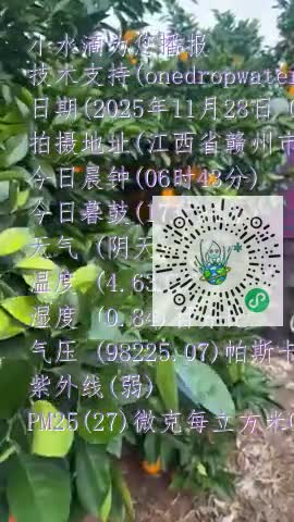 FkLcKW5tSqF2M0kLy7XbOkx9j22bmp4