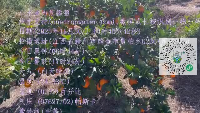 liV-POFE0H5BTzfg3qC79s424YgXmp4