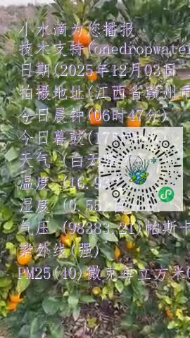 Fh3S2-CjhFZo983w4EBWra4_Wrasmp4