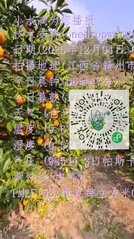 ltUYM0zsd2f55MwV1LTaQzruGWJBmp4