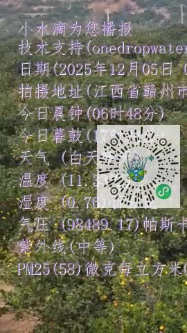 llXcg1O615qJn6Oy9IMLXAuhszNFmp4