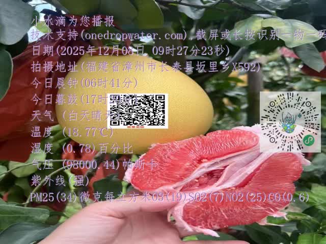 fe9b24ed6677b77c4c768e34e4d05a8b.mp4