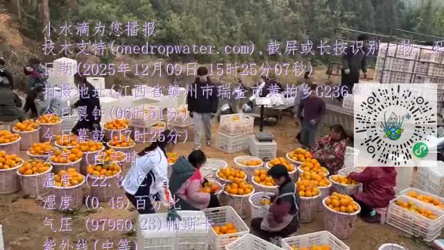 FlqhE3aWDGilHgpvC8tg0ymGcJitmp4