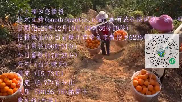 FmY978dSznqkUCMmLri7a67rRFTGmp4